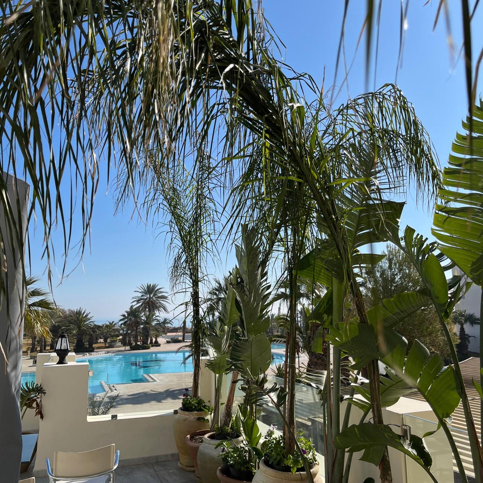 Sentido Marillia Resort & Spa Yasmine エクステリア 写真